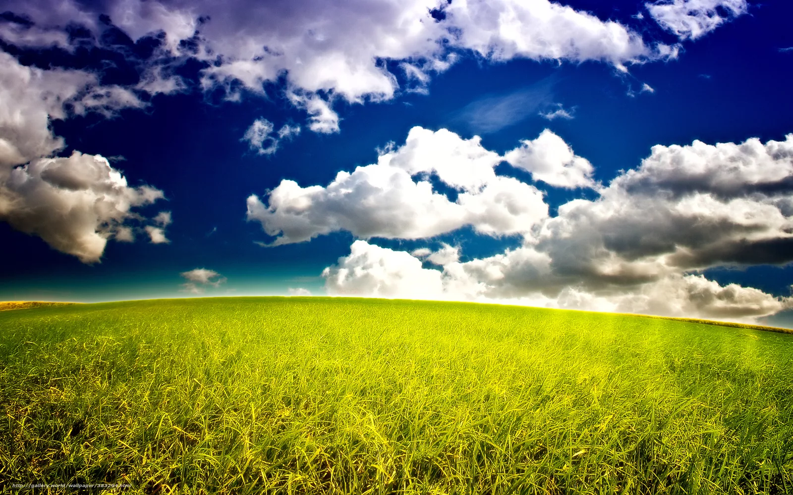 Embracing Self-Accountability: Preparing for Life’s Responsibilities